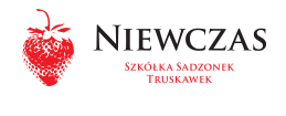 Sadzonki truskawek - Szkółka Truskawek Niewczas